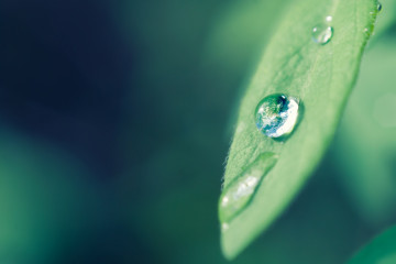 Rain Drops with co-financing from the OPI&E 