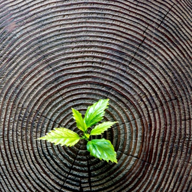 Menu-item - Projekty